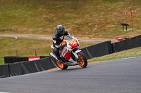 Advanced Group Orange Bikes